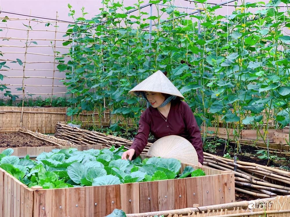 Nghỉ dịch ở nhà, gia đình trẻ gắn kết yêu thương bằng cách cải tạo vườn rau xanh tốt giữa lòng Sài Gòn-2