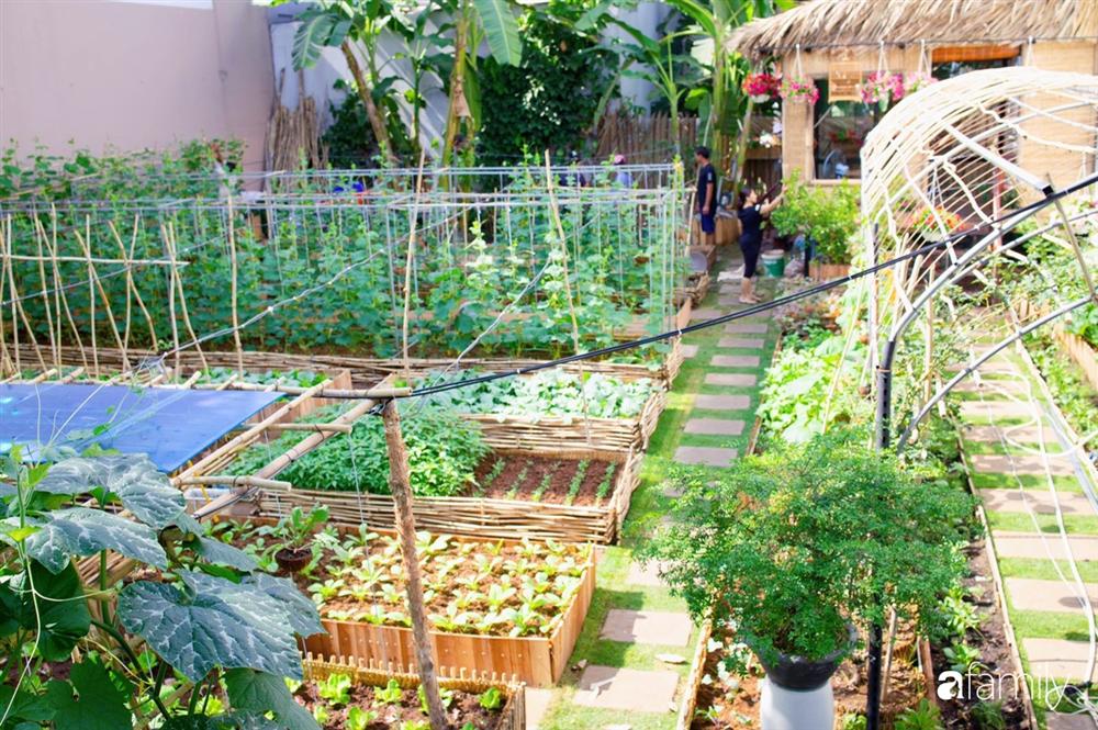 Nghỉ dịch ở nhà, gia đình trẻ gắn kết yêu thương bằng cách cải tạo vườn rau xanh tốt giữa lòng Sài Gòn-3
