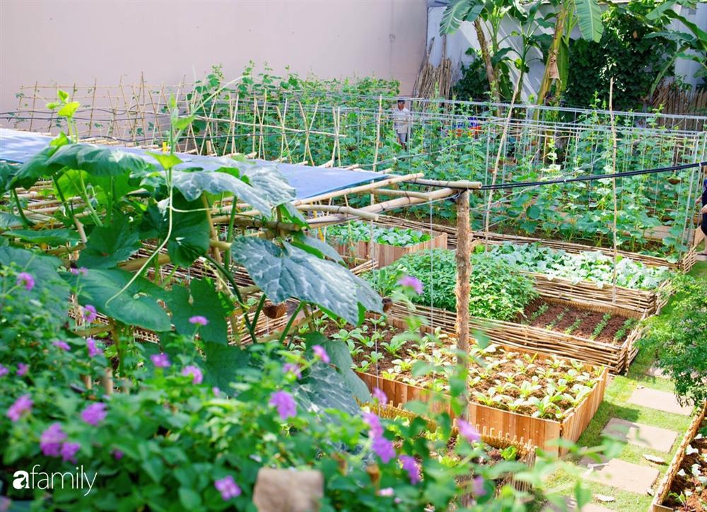 Nghỉ dịch ở nhà, gia đình trẻ gắn kết yêu thương bằng cách cải tạo vườn rau xanh tốt giữa lòng Sài Gòn-4