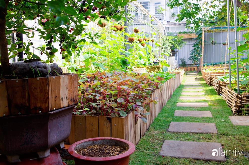 Nghỉ dịch ở nhà, gia đình trẻ gắn kết yêu thương bằng cách cải tạo vườn rau xanh tốt giữa lòng Sài Gòn-5