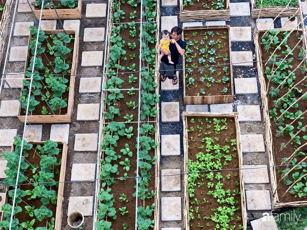 Nghỉ dịch ở nhà, gia đình trẻ gắn kết yêu thương bằng cách cải tạo vườn rau xanh tốt giữa lòng Sài Gòn-15