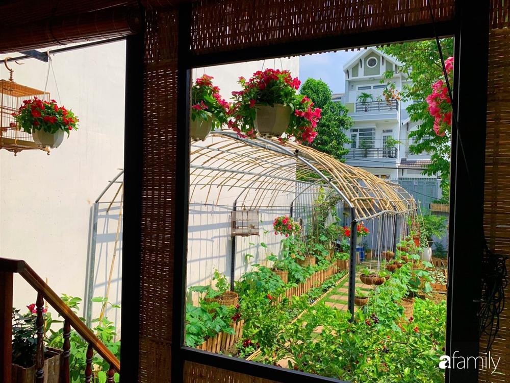 Nghỉ dịch ở nhà, gia đình trẻ gắn kết yêu thương bằng cách cải tạo vườn rau xanh tốt giữa lòng Sài Gòn-17