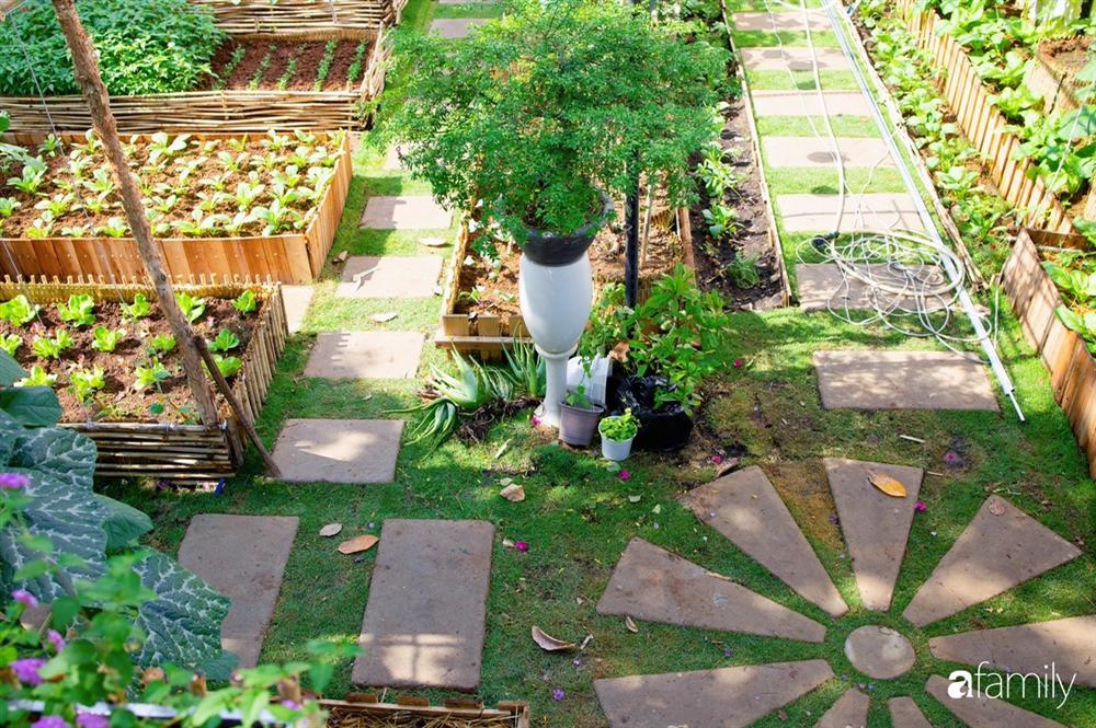 Nghỉ dịch ở nhà, gia đình trẻ gắn kết yêu thương bằng cách cải tạo vườn rau xanh tốt giữa lòng Sài Gòn-36