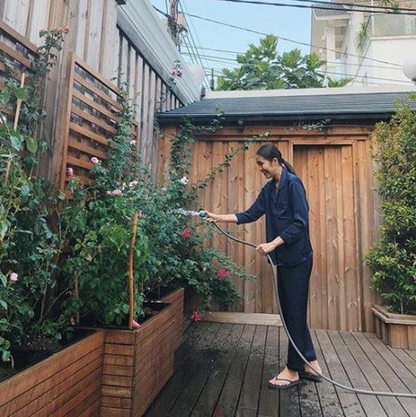 Những vườn hồng trăm triệu trong nhà sao: Hà Tăng, Quyền Linh, Khánh Thi... ai đỉnh hơn?-6