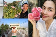 Những vườn hồng trăm triệu trong nhà sao: Hà Tăng, Quyền Linh, Khánh Thi... ai đỉnh hơn?