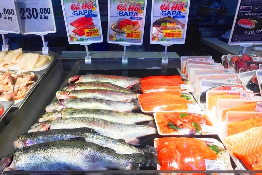 Không có chuyện phải giải cứu cá hồi Sa Pa-1