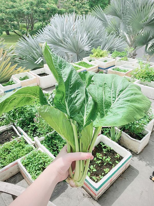 Sau 5 tháng lên xe hoa, Bảo Thy đã chịu khoe biệt thự như lâu đài, tự hào về thành quả đặc biệt sau cánh cửa hào môn-3