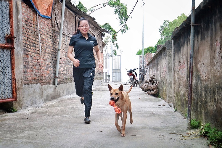 Chú chó Phú Quốc đắt nhất Việt Nam được đại gia khắp nơi săn đón-7