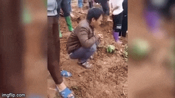 Xe chở gạo lật nghiêng rơi xuống sông, hình ảnh tài xế thất thần ngồi co ro trên bờ gây chú ý-3