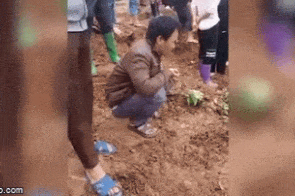 Xe chở gạo lật nghiêng rơi xuống sông, hình ảnh tài xế thất thần ngồi co ro trên bờ gây chú ý