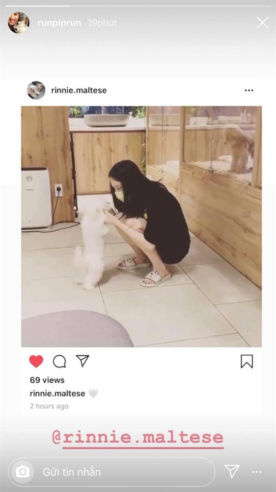 Hậu rạn nứt tình cảm, Phillip Nguyễn và Linh Rin yêu lại từ đầu?-1