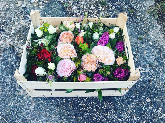 Cuộc sống gần gũi thiên nhiên trong khu vườn 2500m2 của cô gái 23 tuổi-7