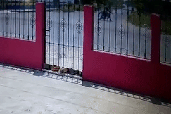 Xe máy mất lái đập vào tường rào nhà dân