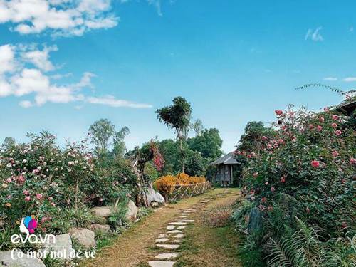 Chán nội đô khói bụi mẹ 8X dọn ra ngoại ô, ở nhà cấp 4 yên bình hệt như phim-2