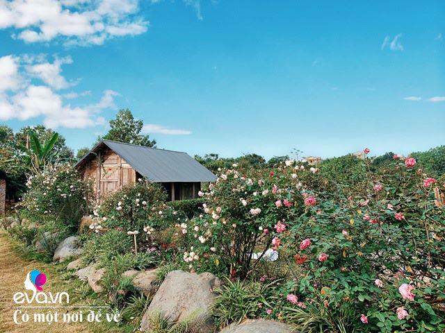 Chán nội đô khói bụi mẹ 8X dọn ra ngoại ô, ở nhà cấp 4 yên bình hệt như phim-7