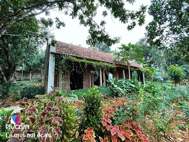 Chán nội đô khói bụi mẹ 8X dọn ra ngoại ô, ở nhà cấp 4 yên bình hệt như phim-10