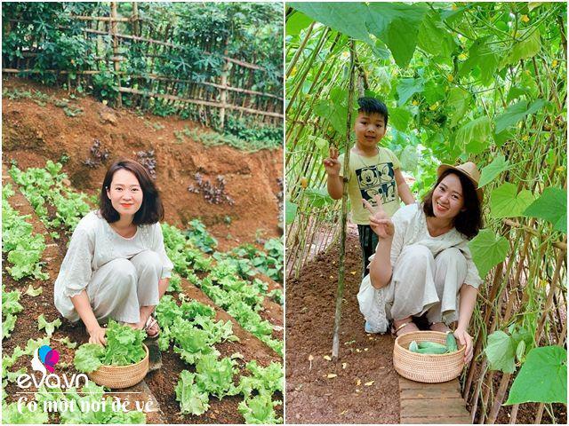 Chán nội đô khói bụi mẹ 8X dọn ra ngoại ô, ở nhà cấp 4 yên bình hệt như phim-20