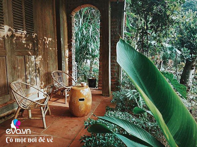 Chán nội đô khói bụi mẹ 8X dọn ra ngoại ô, ở nhà cấp 4 yên bình hệt như phim-22