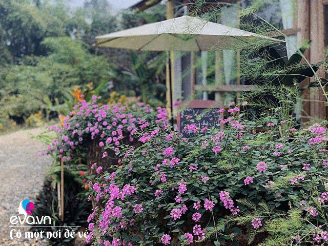 Chán nội đô khói bụi mẹ 8X dọn ra ngoại ô, ở nhà cấp 4 yên bình hệt như phim-25