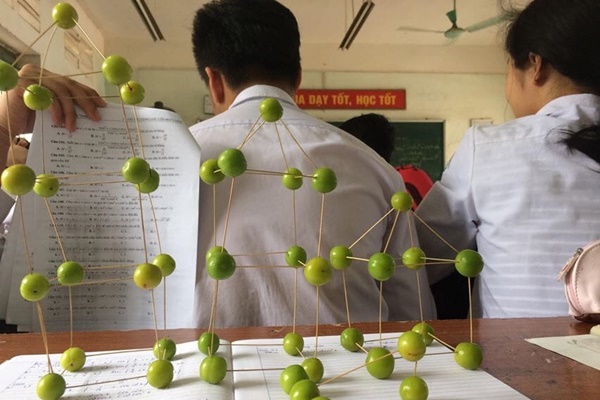 Hốt hoảng cảnh cây cỏ mọc um tùm phủ kín sân trường, chim làm tổ trên quạt treo tường vì học sinh nghỉ dịch quá lâu-6