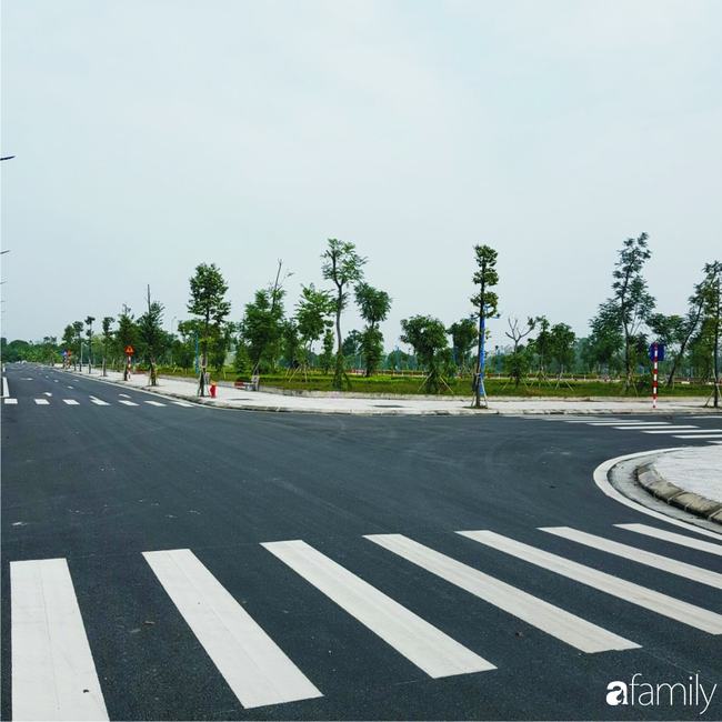 Có 200 triệu mua 50m² đất liền kề ở quê, 3 năm sau mua nhà thành phố-2