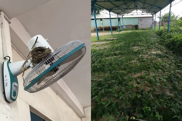 Chùm ảnh học sinh đi học lại: Ngồi cách nhau 1.5m, hạn chế nói chuyện, đeo khẩu trang đầy đủ-9