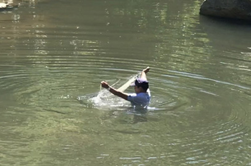 Quảng Ngãi: Đệ nhất cá suối có tiền cũng không dễ mà mua-5