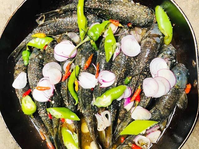 Quảng Ngãi: Đệ nhất cá suối có tiền cũng không dễ mà mua-6