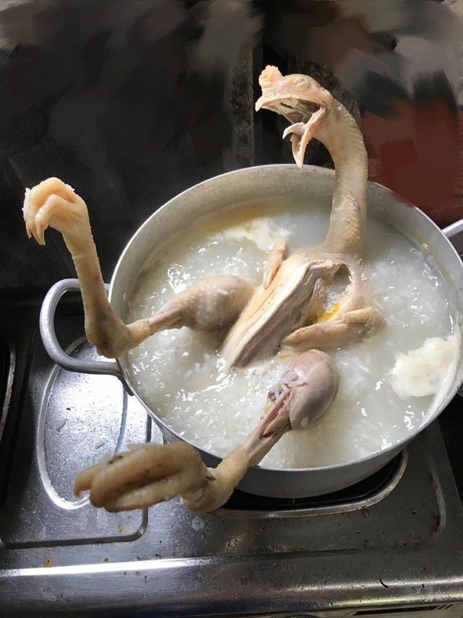 Chồng vào bếp nấu cháo gà, vợ mừng thầm cho đến khi thấy thành phẩm nằm ngửa trong nồi-1