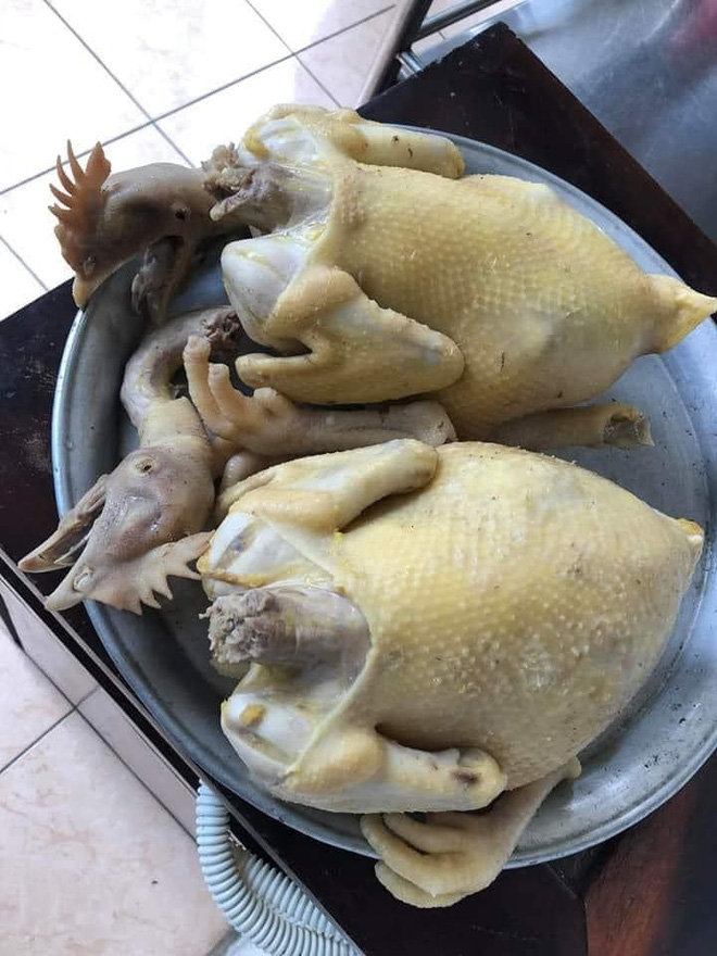 Chồng vào bếp nấu cháo gà, vợ mừng thầm cho đến khi thấy thành phẩm nằm ngửa trong nồi-2