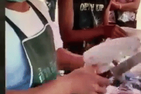 Kỳ lạ sầu riêng không gai - triệu quả mới có một-3