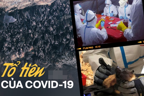 Ngày càng nhiều bệnh nhân COVID-19 trẻ bị đột quỵ-2