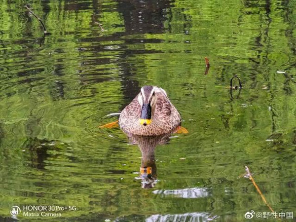Khuyên mua smartphone để chụp lén ký túc xá nữ, sếp Xiaomi bị dân mạng Trung Quốc ném đá thậm tệ-4