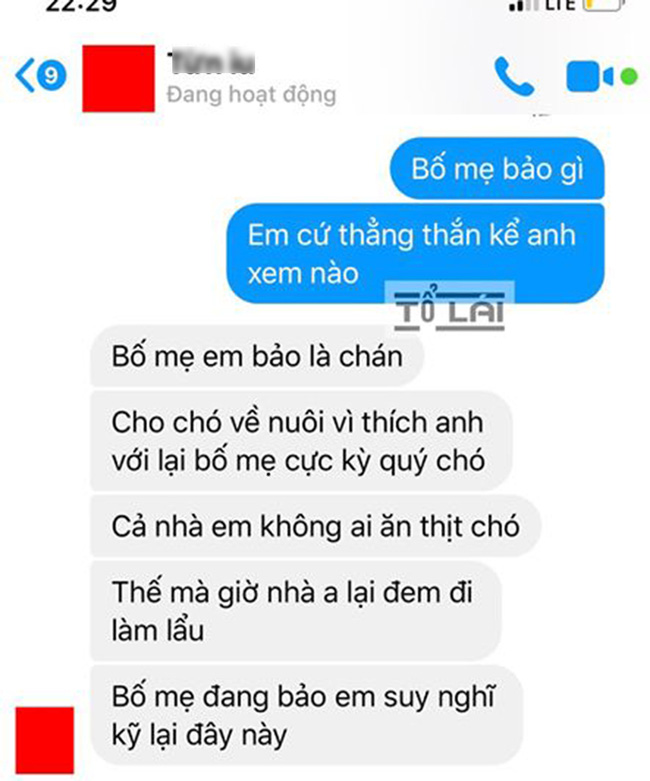 Quý rể tương lai đến độ cho cả chó về nuôi, nhưng bố cô gái lại nhất quyết hủy hôn ngay buổi đầu gặp mặt gia đình chỉ vì hành động này của nhà trai-2