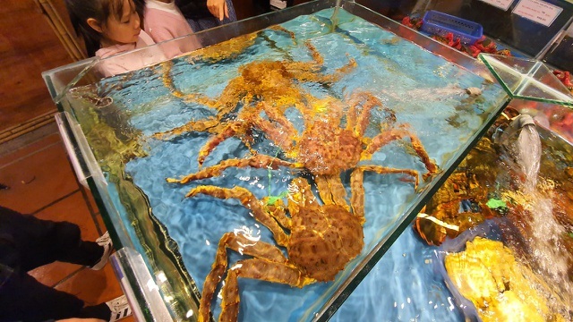 Cua Alaska giá đang bèo, chủ nhà hàng khuyên rẻ mấy cũng đừng ăn-3