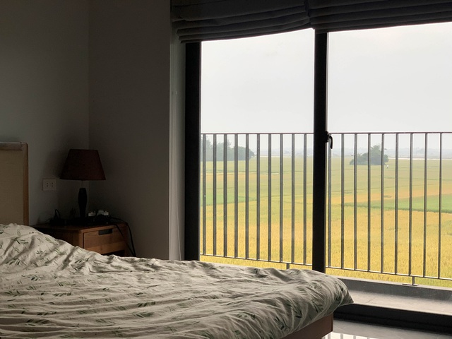 Biệt thự con trai xây tặng bố mẹ đẹp lạ giữa cánh đồng lúa chín ở Hà Tĩnh-9