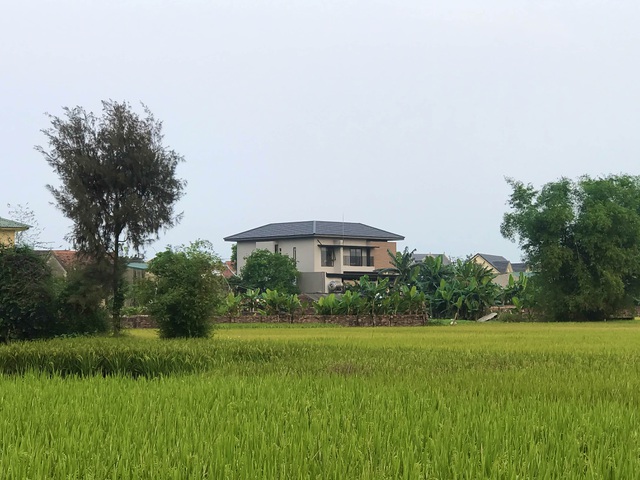 Biệt thự con trai xây tặng bố mẹ đẹp lạ giữa cánh đồng lúa chín ở Hà Tĩnh-16