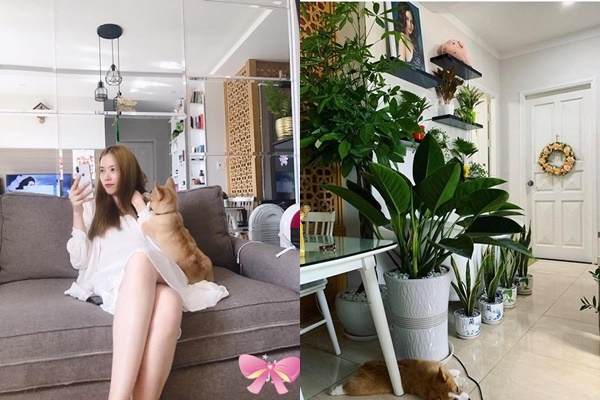 Căn hộ sang trọng của nữ diễn viên Vân Dung-10