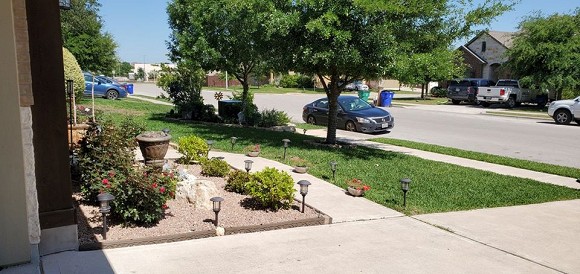 Quách Thành Danh cải tạo vườn thành công viên thu nhỏ cho các con thỏa sức vui chơi khi nghỉ dịch-9