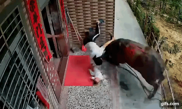 Bà mẹ bế con mới sinh ra hiên nhà đứng, trong phút chốc đã suýt chết vì tai nạn không ngờ ập đến-2