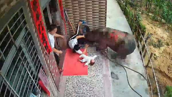 Bà mẹ bế con mới sinh ra hiên nhà đứng, trong phút chốc đã suýt chết vì tai nạn không ngờ ập đến-4