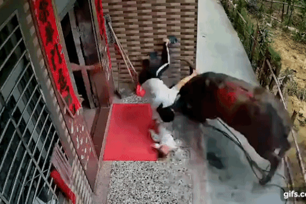 Chạy qua chạy lại đại lộ 13 lần, đứa trẻ bị xe tông nhập viện, cư dân mạng sau khi xem clip quay sang chỉ trích bố mẹ em-3