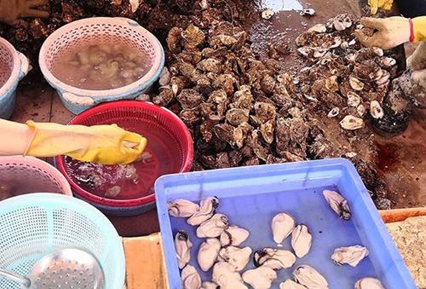 Khi rửa hàu&nbsp;thêm một nguyên liệu này&nbsp;đảm bảo sạch bong không vết bẩn-1