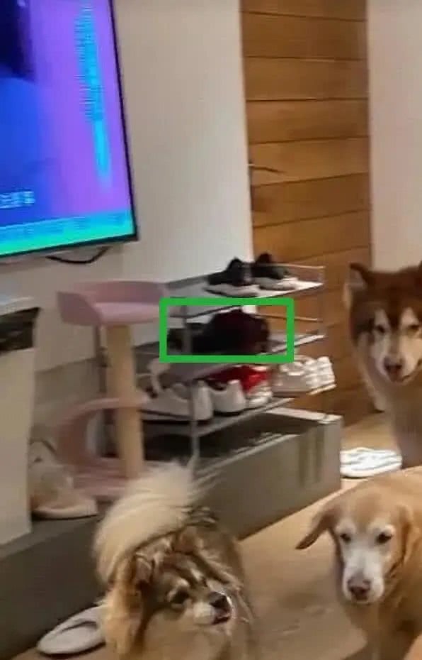 Dân mạng tiếp tục phơi bày nhiều bằng chứng cho thấy chủ tịch Taobao và người tình nổi tiếng bậc nhất MXH Trung Quốc đã chung sống ấm êm từ lâu-1