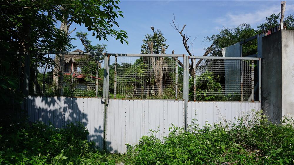 Khu vườn bỏ hoang toàn siêu cây bạc tỷ của đại gia nức tiếng một thời-1