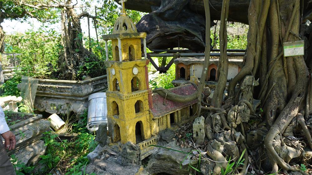 Khu vườn bỏ hoang toàn siêu cây bạc tỷ của đại gia nức tiếng một thời-10