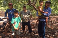 Truy tìm người đàn ông nghi liên quan đến vụ 2 bé trai sinh đôi mất tích trong vườn điều Bình Phước