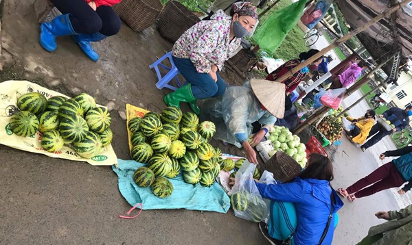 Đầu mùa, dưa lê, dưa bở bán đầy quốc lộ, giá chỉ 20-35 ngàn đồng/kg hút khách đi đường dừng lại mua cả xe ô tô-2