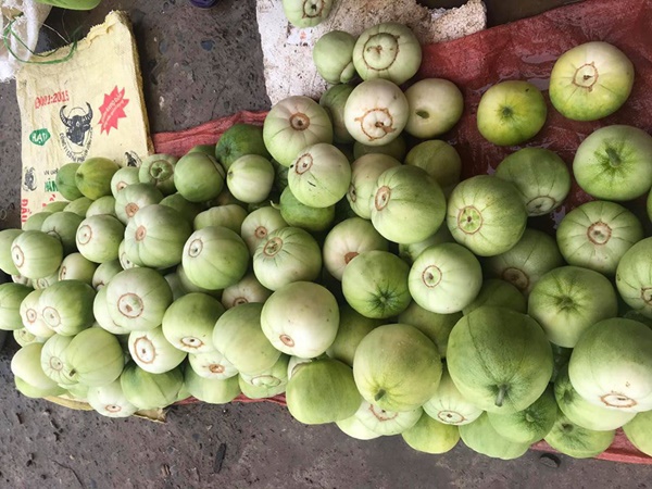 Đầu mùa, dưa lê, dưa bở bán đầy quốc lộ, giá chỉ 20-35 ngàn đồng/kg hút khách đi đường dừng lại mua cả xe ô tô-4