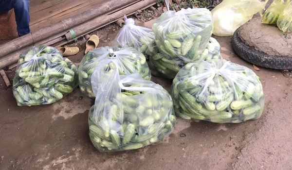 Đầu mùa, dưa lê, dưa bở bán đầy quốc lộ, giá chỉ 20-35 ngàn đồng/kg hút khách đi đường dừng lại mua cả xe ô tô-6